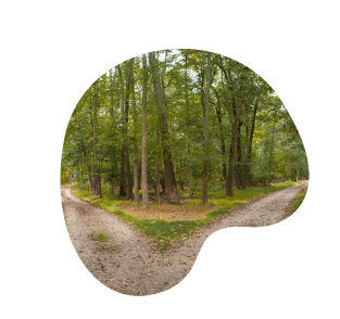 View Litigation Advisory