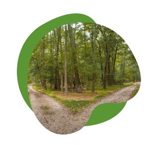 View Litigation Advisory