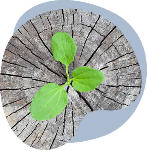 Fiduciary & Trust Litigat…